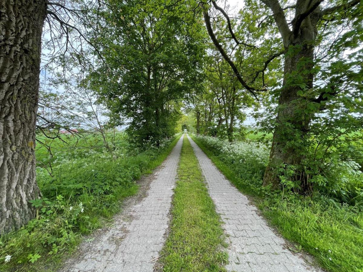 Mooi Stuv , Maisonettenwohnung , Gulfhof , Kachelofen Norden Extérieur photo